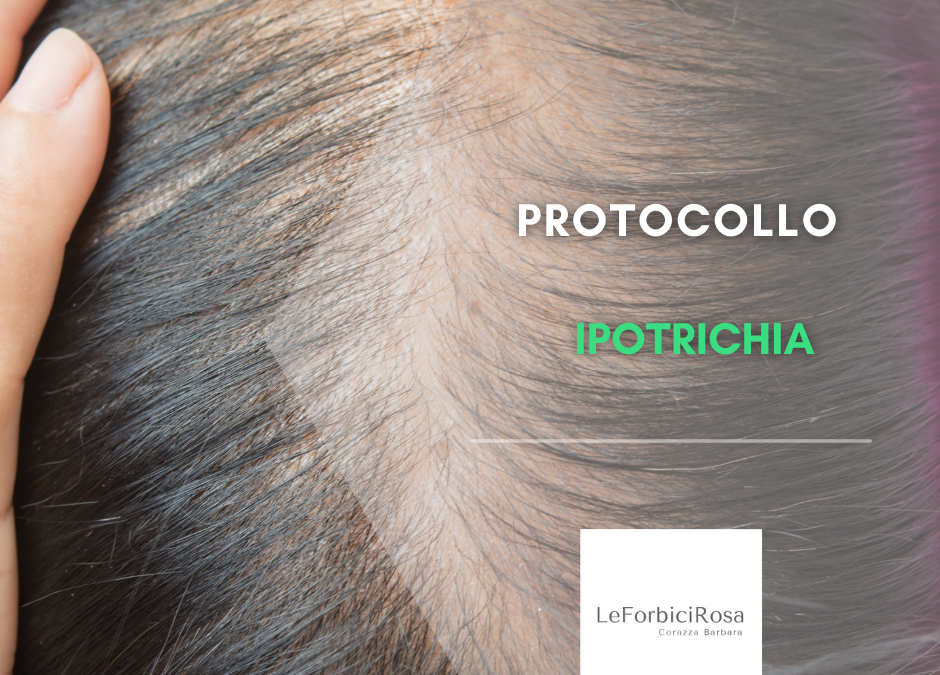 Protocollo Ipotrichia